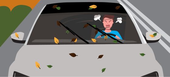 CAMEA CAR RADÍ – STIERAČE